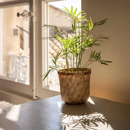 Apartment Intra-muros, Vue Palais Des Papes